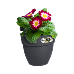 vibia campana easy hanger small anthrazit